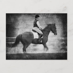 Dressage in Black and White Grunge Postcard