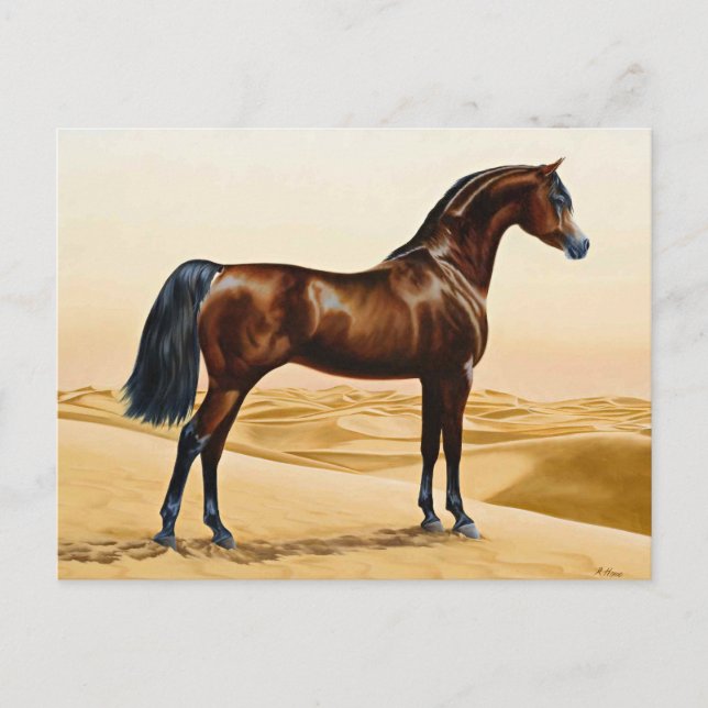 Dressage Show Horse Postcard (Front)