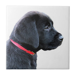 Dressed in Red - Black Lab Tile