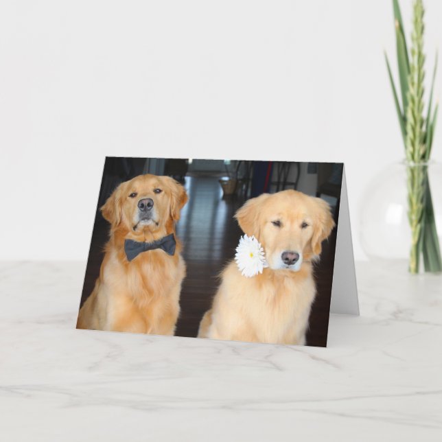 Dressed up Duo Card (Front)