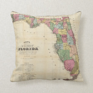 Drew's New Map Of The State Of Florida Throw Pillow