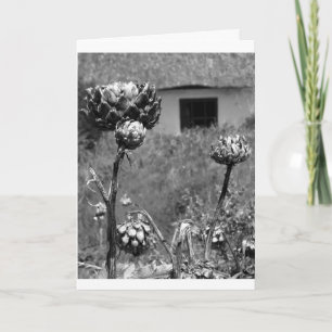 Dried Artichoke Flower Card