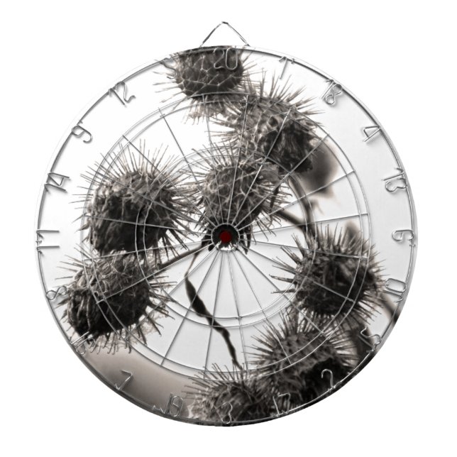 Dried burdock dartboard (Front)
