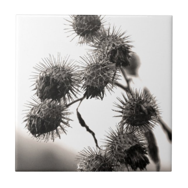 Dried burdock tile (Front)