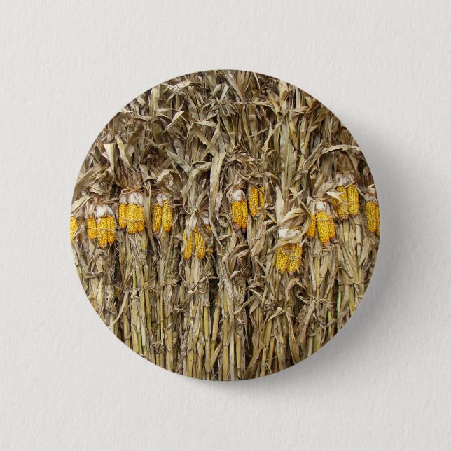 Dried Corn Stalk Decorations 2 Inch Round Button (Front)