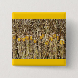 Dried Corn Stalk Decorations 2 Inch Square Button