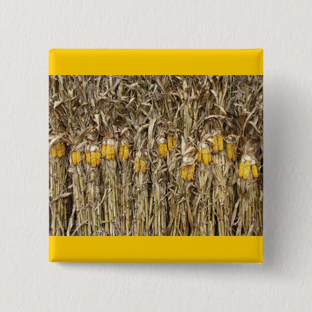 Dried Corn Stalk Decorations 2 Inch Square Button (Front)