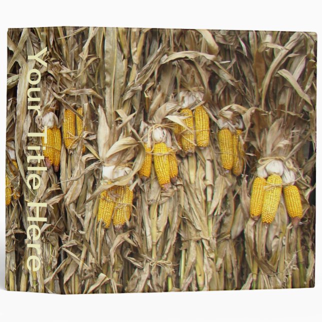 Dried Corn Stalk Decorations Binder (Front/Spine)