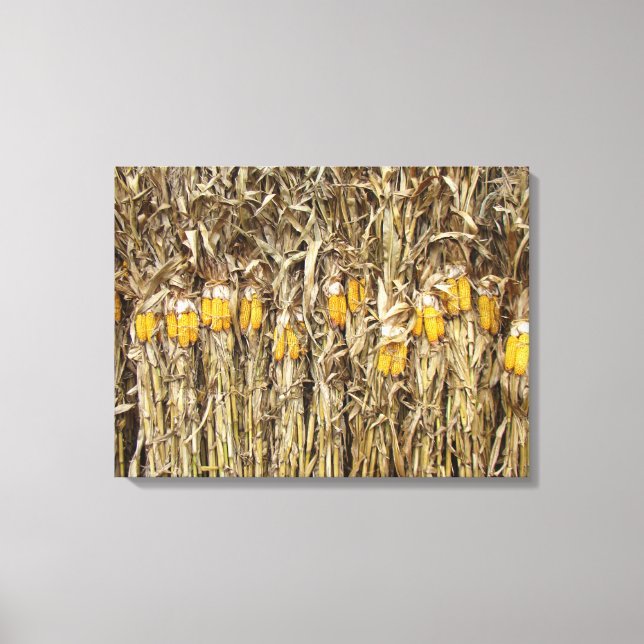 Dried Corn Stalk Decorations Canvas Print (Front)
