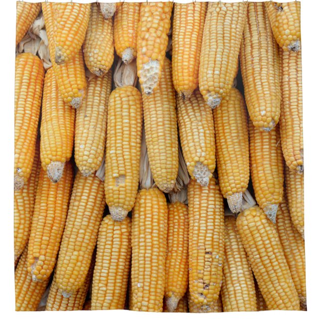 Dried corn that was stacked . (Front)