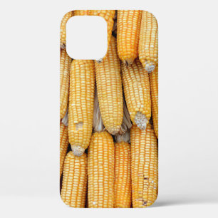 Dried corn that was stacked . iPhone 12 case
