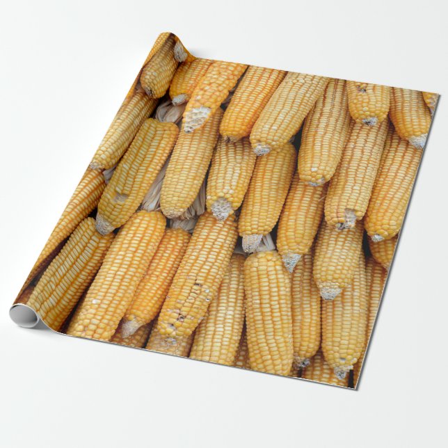 Dried corn that was stacked . wrapping paper (Unrolled)