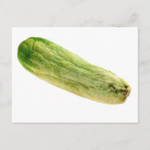 Dried cucumber postcard