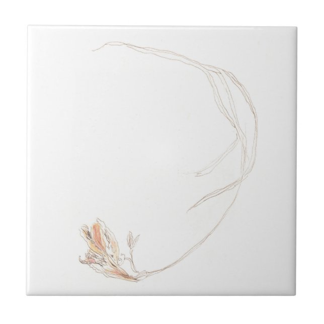 Dried freesia 1 tile (Front)