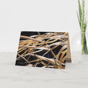 Dried Grasses Card