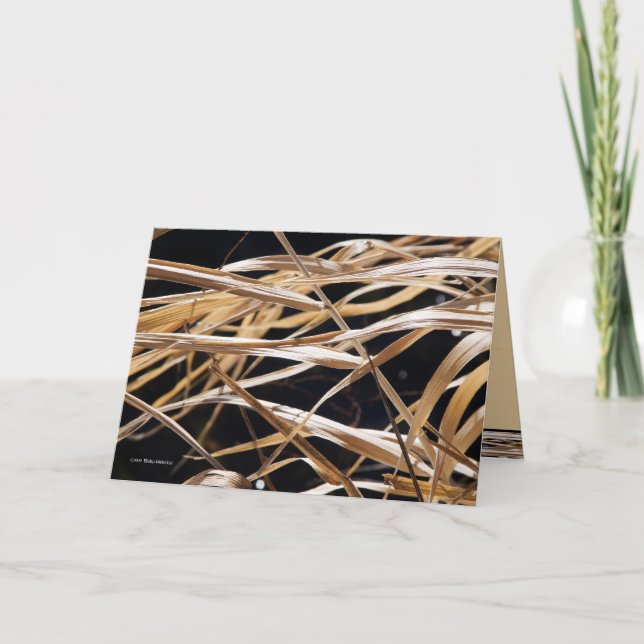 Dried Grasses Card (Front)
