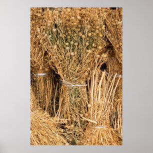 Dried Harmal  Poster