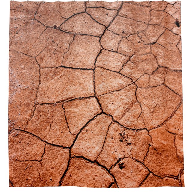 Dried land (Front)