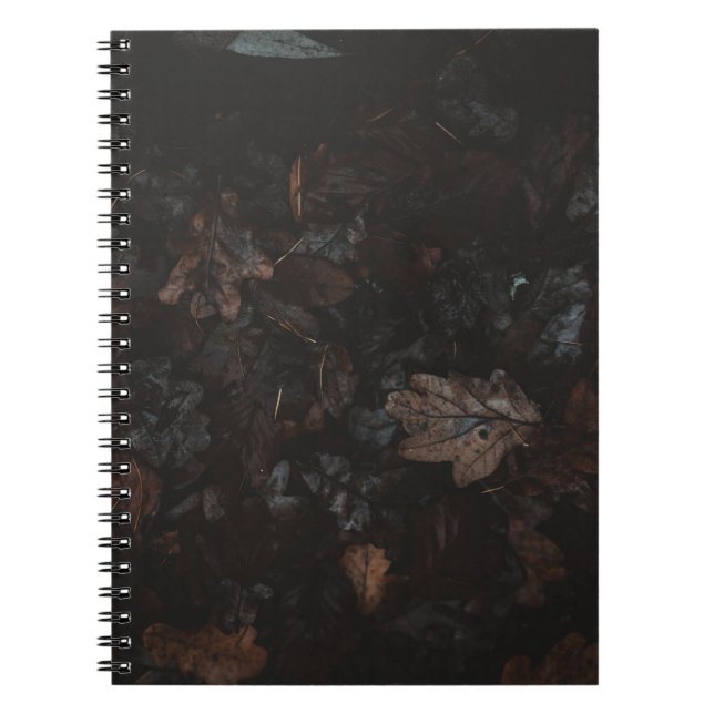 Dried leaves notebook (Front)