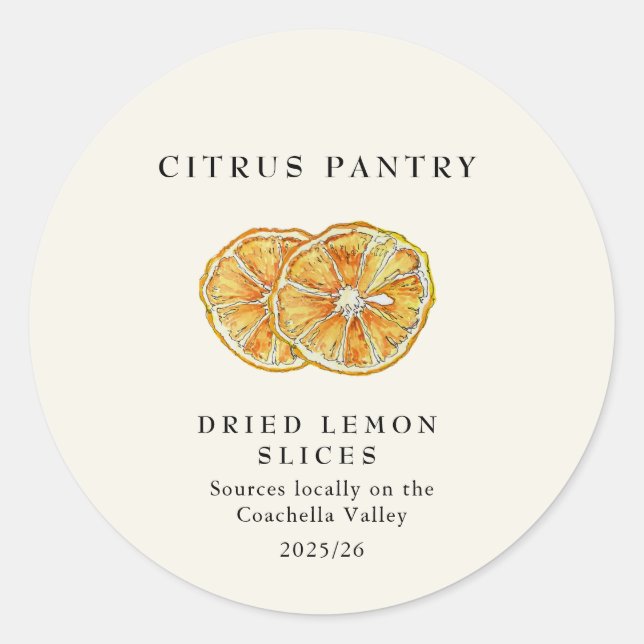 Dried Lemon slices Watercolor  Classic Round Sticker (Front)