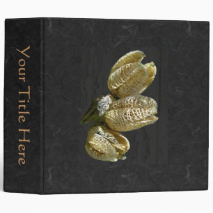 Dried Lily Seed Pods Binder