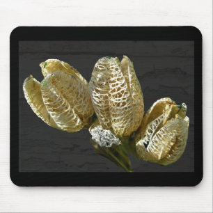 Dried Lily Seed Pods Mouse Pad