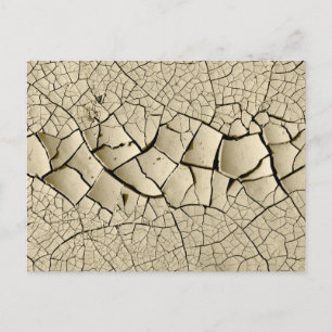 Dried Mud  Postcard