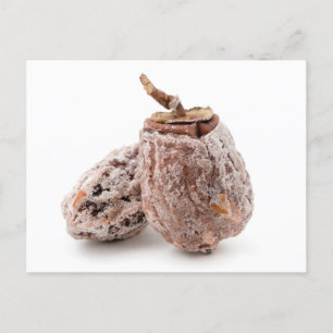 Dried Persimmon Postcard
