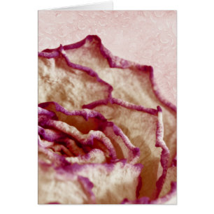 Dried Pink Rose Card