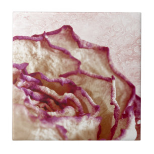 Dried Pink Rose Tile