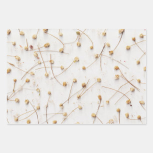 Dried plant patterns for weddings and gifts wrapping paper sheet