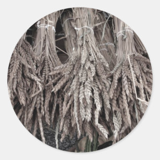 Dried Plants for Decorating Classic Round Sticker