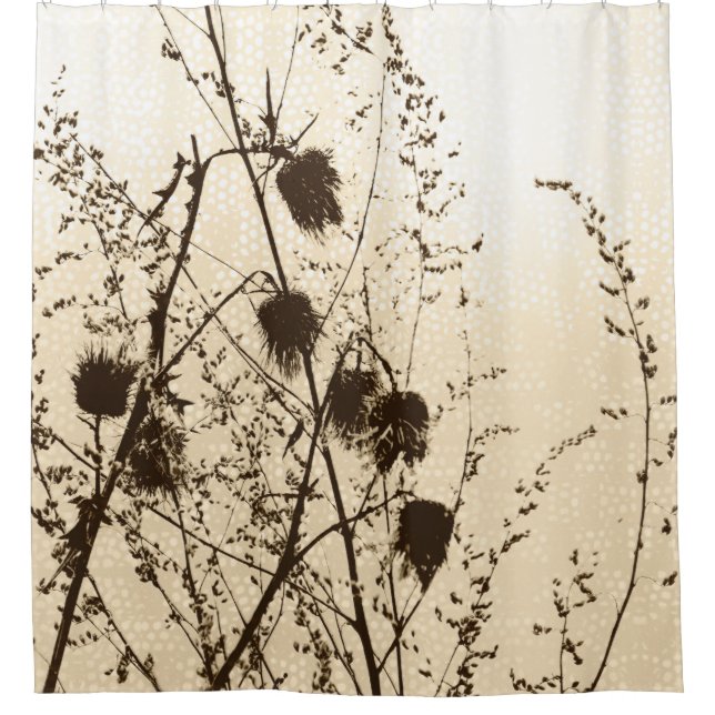 Dried Scottish Thistles Light Golden Yellow Brown (Front)