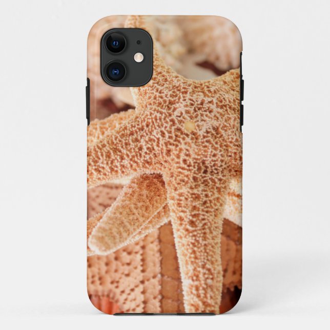 Dried sea stars sold as souvenirs 2 Case-Mate iPhone case (Back)