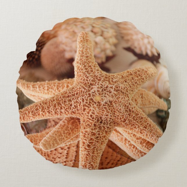 Dried sea stars sold as souvenirs round pillow (Front)