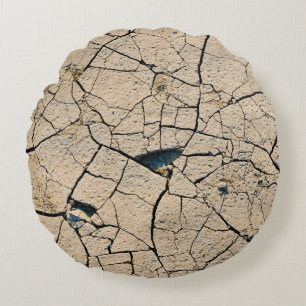 Dried soil round pillow