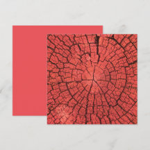 Dried Tree Log Cutaway Pinkish Red Wood Photo