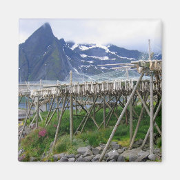 Dried with the Wind Magnet