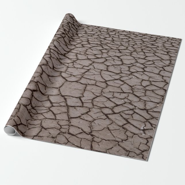 Dried Wrapping Paper (Unrolled)