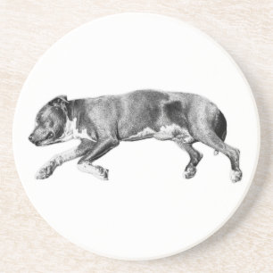 Drift into Calm – Detailed Dog Slumber Coaster