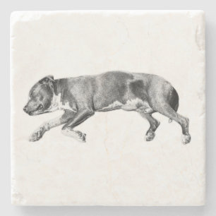 Drift into Calm – Detailed Dog Slumber Stone Coaster