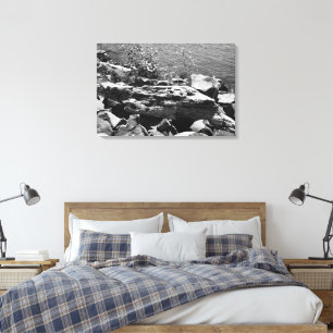 Drift wood canvas print