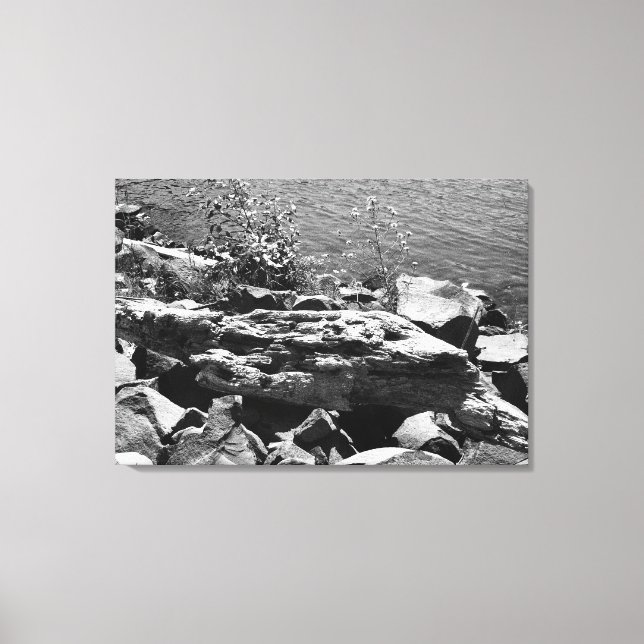 Drift wood canvas print (Front)