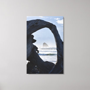 Drift wood frame, Cape Mears Canvas Print