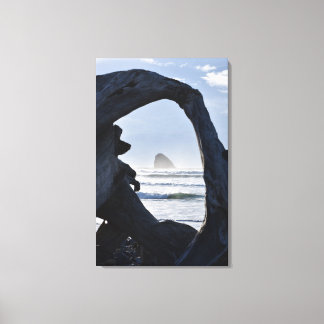 Drift wood frame, Cape Mears Canvas Print