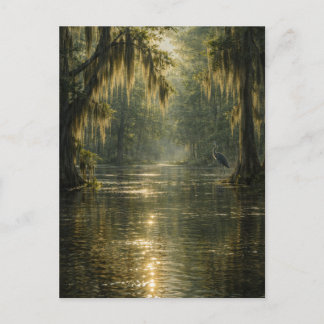 Drifting Morning | Cypress Marsh | Postcard