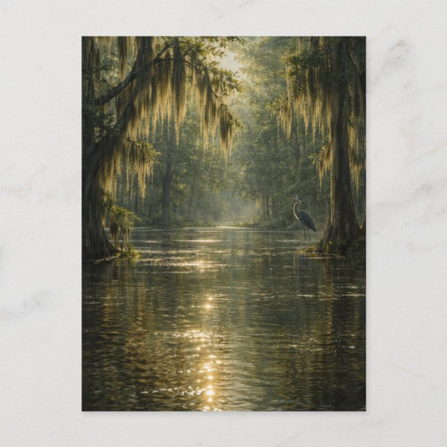 Drifting Morning | Cypress Marsh | Postcard (Front)