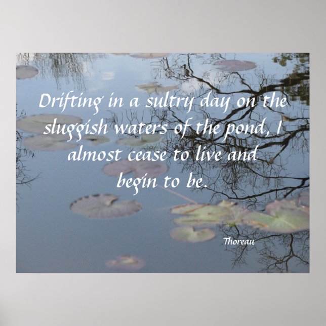 Drifting on the Pond Poster (Front)