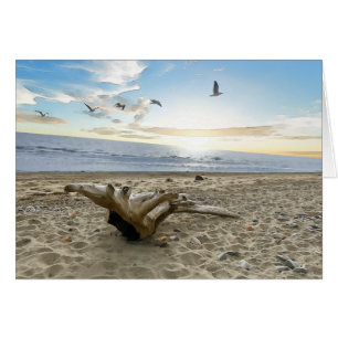Driftwood - 5" x 7" Art Card