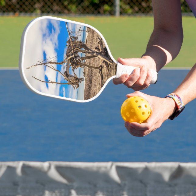 Driftwood artwork on Hokitika Beach, New Zealand Pickleball Paddle (Insitu)